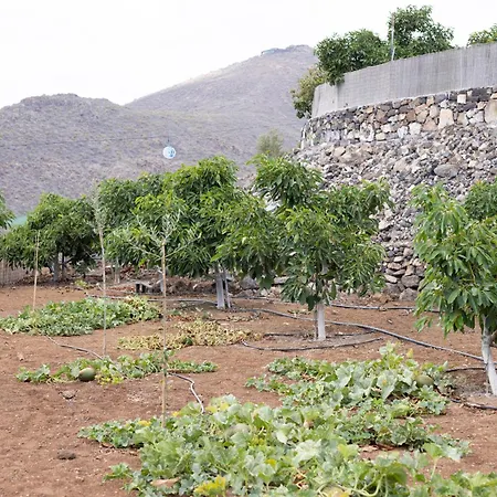 Villa Home2book Fantasy & Nature, Private Pool San Miguel de Abona