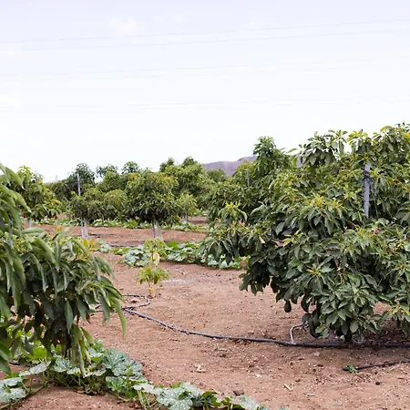 Villa Home2book Fantasy & Nature, Private Pool