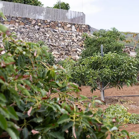 Home2book Fantasy & Nature, Private Pool * San Miguel de Abona