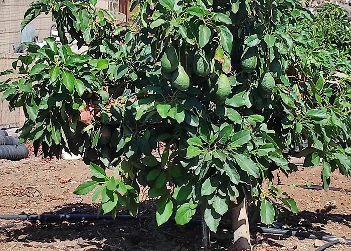 Villa Home2book Fantasy & Nature, Private Pool *