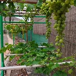 וילה Home2book Fantasy & Nature, Private Pool