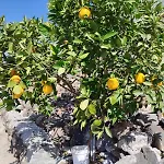 Home2book Fantasy & Nature, Private Pool וילה
