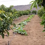 וילה Home2book Fantasy & Nature, Private Pool סן מיגל דה אבונה