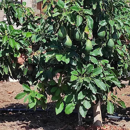 别墅 Home2book Fantasy & Nature, Private Pool *