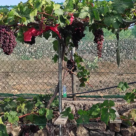 Home2book Fantasy & Nature, Private Pool