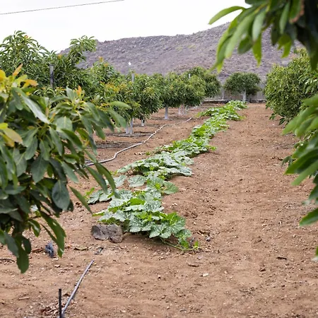 ヴィラ Home2book Fantasy & Nature, Private Pool サンミゲル・デ・アボナ