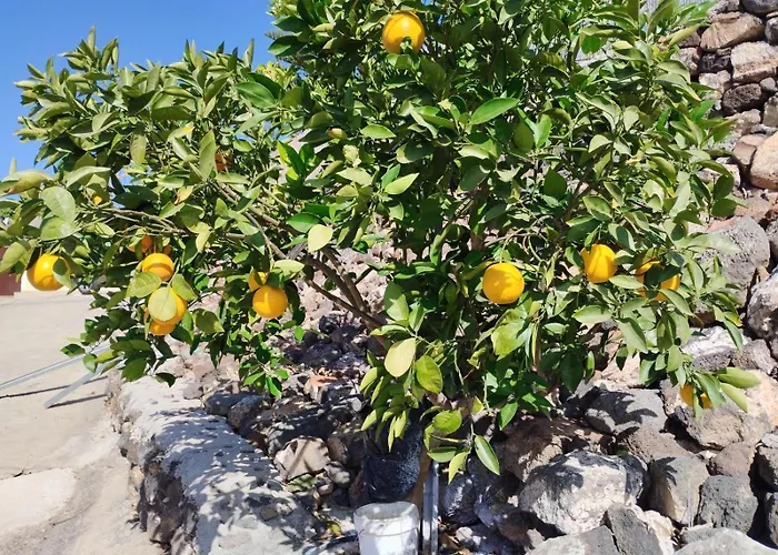 Home2book Fantasy & Nature, Private Pool 别墅