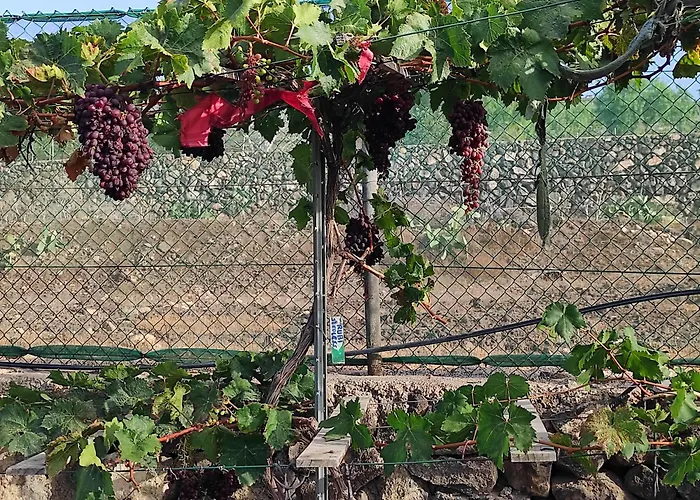 Home2book Fantasy & Nature, Private Pool