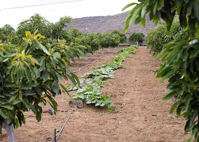 别墅 Home2book Fantasy & Nature, Private Pool 圣米格尔德阿沃纳