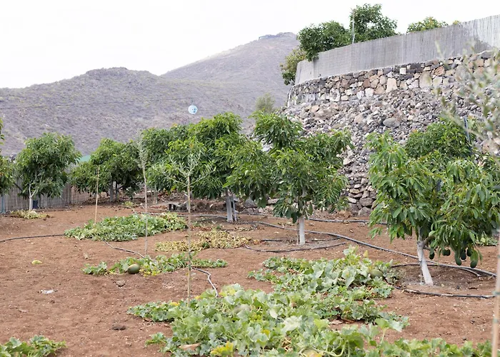 فيلة Home2book Fantasy & Nature, Private Pool سان ميغيل ذي أبونا