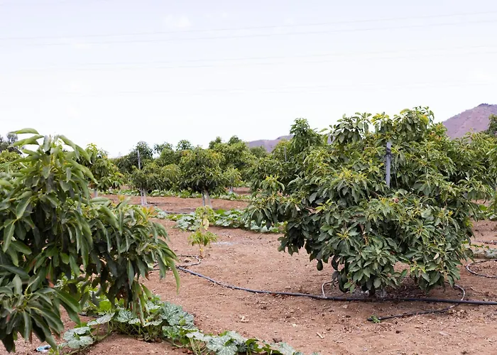 别墅 Home2book Fantasy & Nature, Private Pool