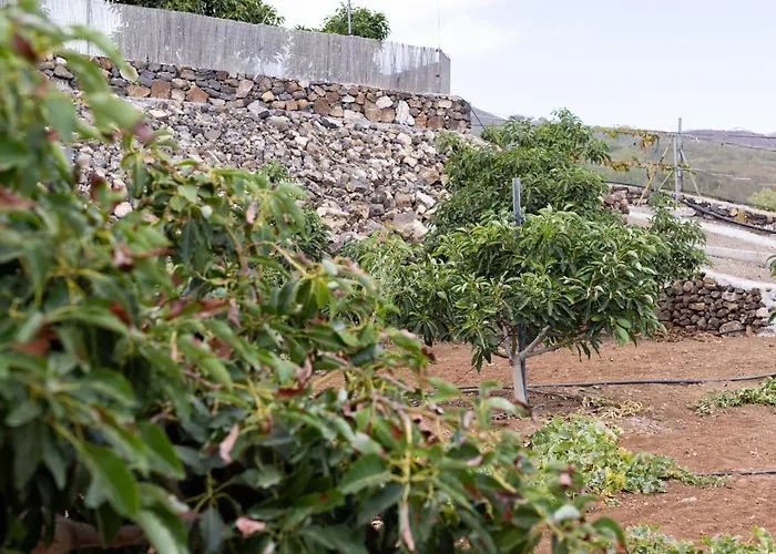 Home2book Fantasy & Nature, Private Pool * سان ميغيل ذي أبونا